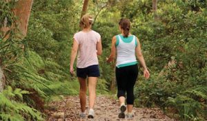 Bushwalking trails